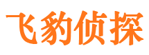 洮南外遇调查取证